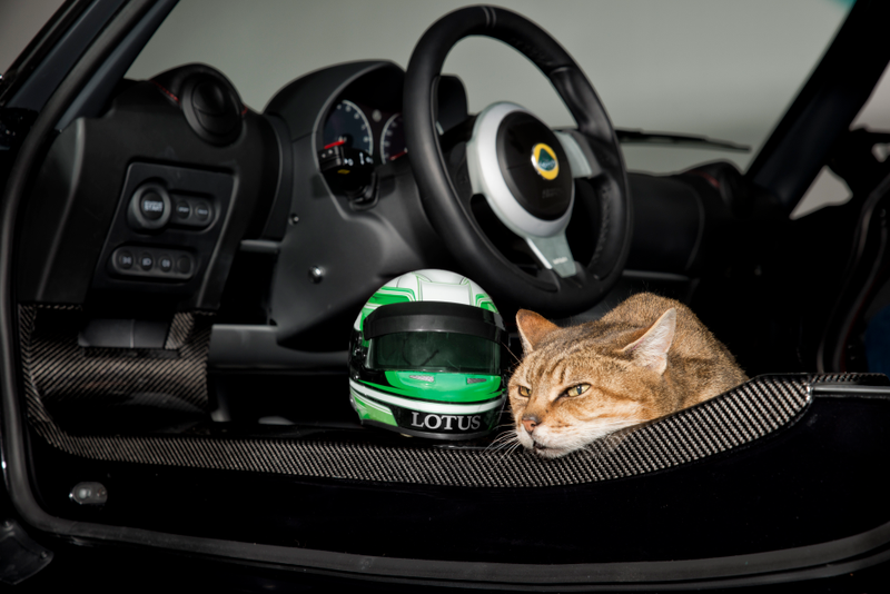Illustration for article titled Lotus Sent An April Fools' Press Release About Race Helmets For Cats And I'll Take Three